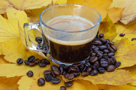 Cup with espresso and coffee beans around it on yellow leafsの写真素材