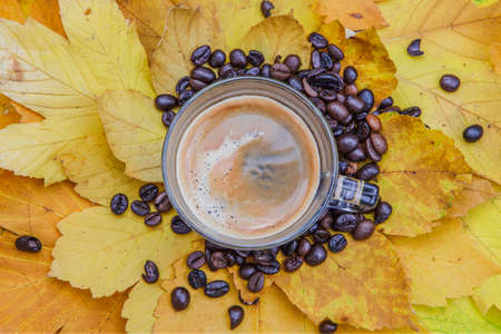 Cup with espresso and coffee beans around it on yellow leafsの写真素材