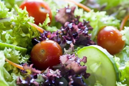   a colorful cucumber and tomato saladの写真素材