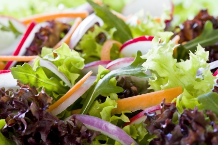 Close up photograph of a tasty mixed saladの写真素材