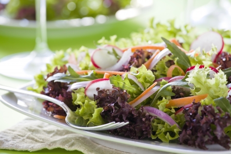 Close up photograph of a tasty mixed saladの写真素材