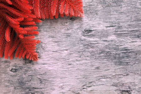 Pine tree branches on an old wooden board bannerの写真素材