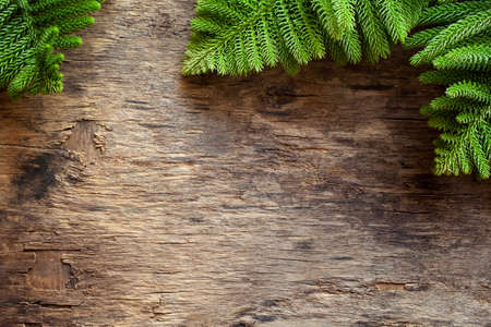 Pine tree branches on an old wooden board bannerの写真素材