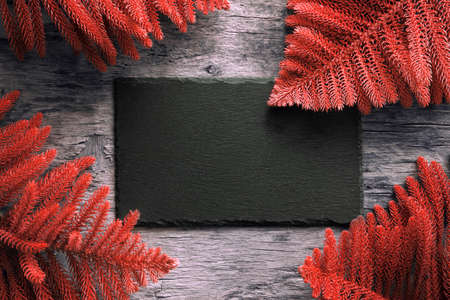 Pine tree branches on an old wooden board bannerの写真素材