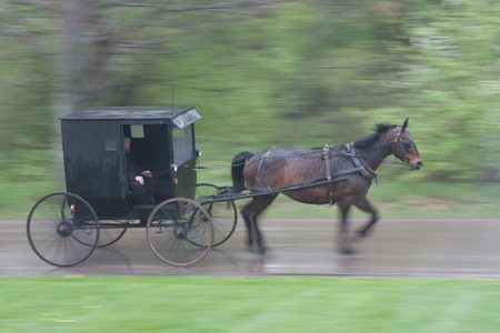 Panning shot of Amish buggy going by, with motion blur