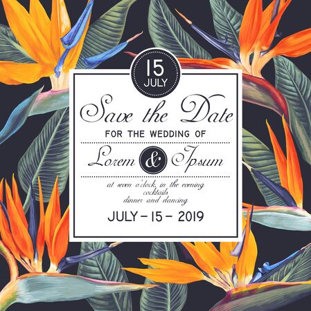 Tropical flowers - Strelitzia, South African plant, called crane flower or bird of paradise. Save the Date card with botanical design in a realistic style.のイラスト素材