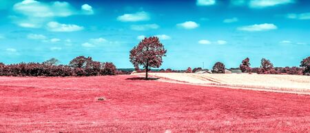 Beautiful pink infrared shots of a northern european landscape with a deep blue skyの写真素材