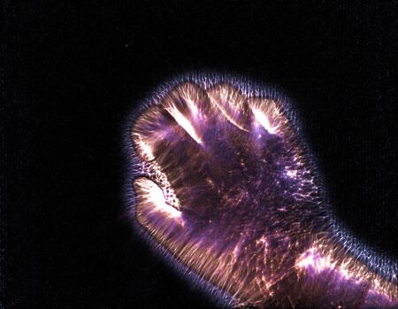 3D-Illustration of a glowing human female hand with a kirlian aura showing different symbols