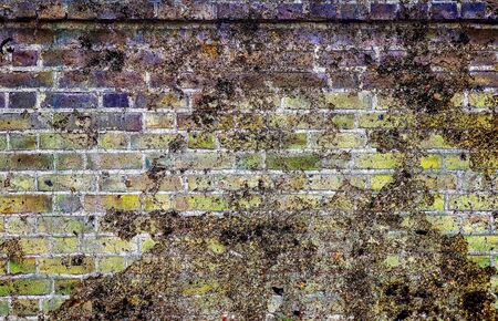 Detailed close up view on aged ruin brick walls on historical buildingsの写真素材