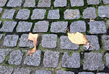 Detailed close up view on cobblestone street textures in high resolution