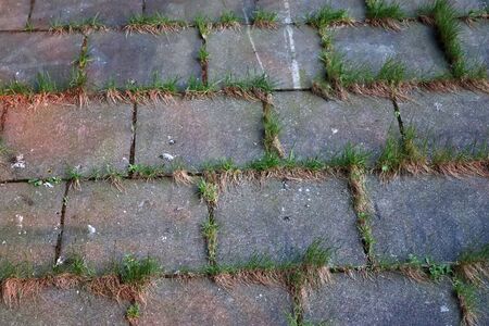 Detailed close up view on cobblestone street textures in high resolutionの写真素材