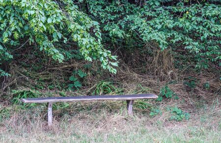 Lonely old and cosy bench in a park areaの写真素材