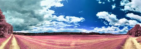 Beautiful and colorful fantasy landscape in an asian purple infrared photo style