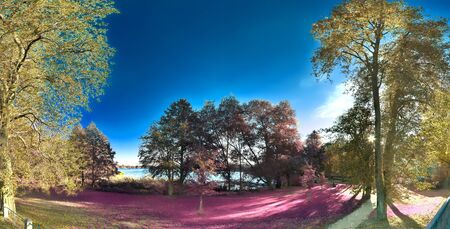 Beautiful and colorful fantasy landscape in an asian purple infrared photo styleの写真素材
