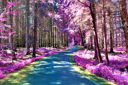 Stunning infrared view on purple fantasy landscapes with some ashpalt roadsの写真素材