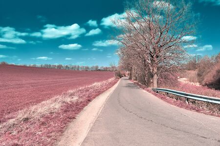 Stunning infrared view on purple fantasy landscapes with some ashpalt roadsの写真素材