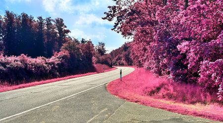 Stunning infrared view on purple fantasy landscapes with some ashpalt roadsの写真素材
