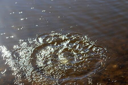 Beautiful water waves and ripples from a drop falling into a water surface of a lake