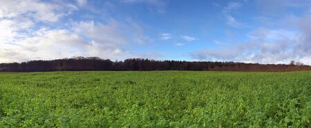 High resolution panorama view on green landscapes with a blue sky found in northern germanyの写真素材