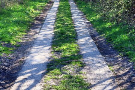 Empty country roads found in northern europe with surrounding fields and trees
