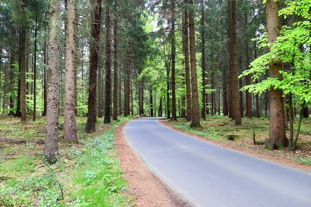 Empty country roads found in northern europe with surrounding fields and treesの写真素材