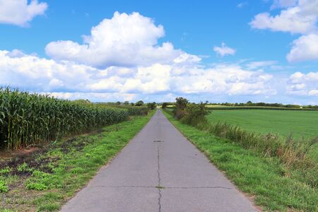 Empty country roads found in northern europe with surrounding fields and treesの写真素材