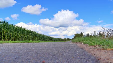 Empty country roads found in northern europe with surrounding fields and trees