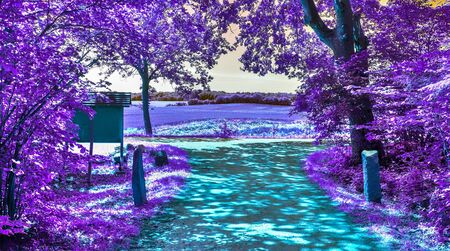 Beautiful purple infrared landscape with a road and treesの写真素材