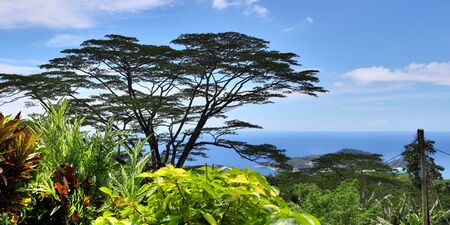 Beautiful impressions of the tropical landscape on the Seychelles islands paradiseの写真素材