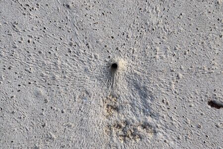 Beautiful shots of the white sand beaches on the Seychelles paradise islandの写真素材