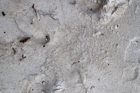 Beautiful shots of the white sand beaches on the Seychelles paradise island