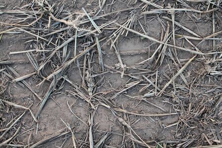 Detailed close up view on acre grounds during drought by climate change