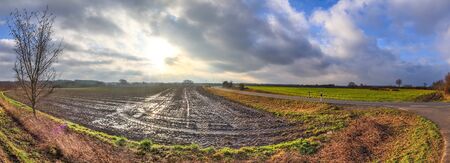 Green field landscape in a panoramic view of an angricultural field with dandelions and a blue sky with cloudsの写真素材