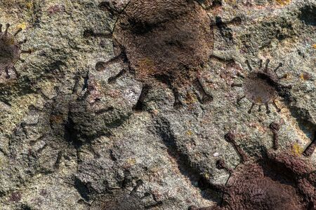 Close up view on granite and rock surfaces with engraved virus fossilsの写真素材