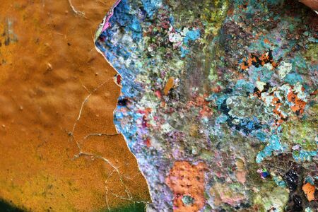 Detailed and colorful close up at cracked and peeling paint on concrete wall textures in high resolutionの写真素材
