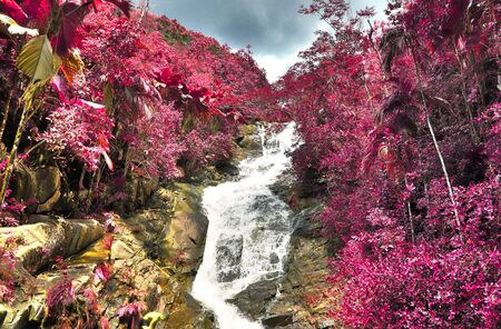Beautiful purple and pink infrared panorama of a landscape on the Seychelles Islandsの写真素材