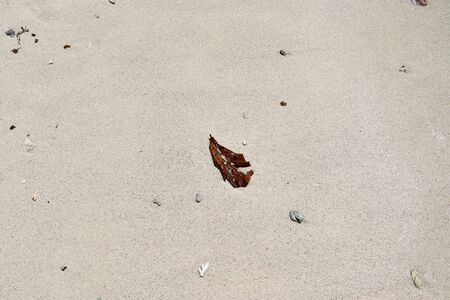 Detailed close up view on sand on a beach at the baltic sea