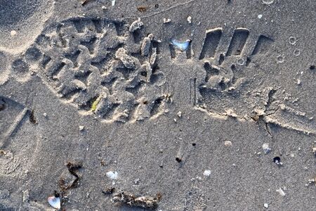 Detailed close up view on sand on a beach at the baltic seaの写真素材