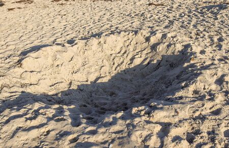 Detailed close up view on sand on a beach at the baltic seaの写真素材
