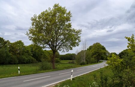 Beautiful view on countryside roads with fields and trees in northern europe.の写真素材