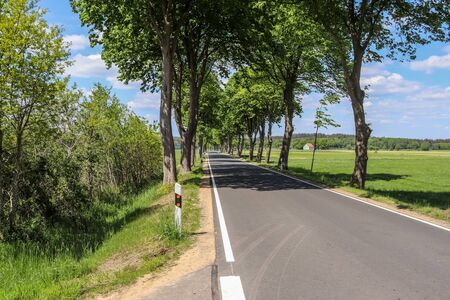 Beautiful view on countryside roads with fields and trees in northern europe.の写真素材