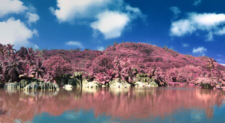 Beautiful purple and pink infrared panorama of a landscape on the Seychelles Islands.の写真素材