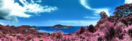 Beautiful purple and pink infrared panorama of a landscape on the Seychelles Islands.の写真素材