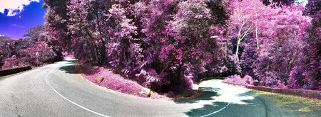 Beautiful purple and pink infrared panorama of a landscape on the Seychelles Islands.の写真素材