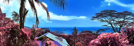 Beautiful purple and pink infrared panorama of a landscape on the Seychelles Islands.の写真素材