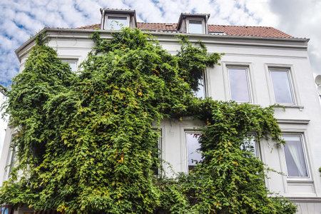 Beautiful old architecture of facades found in the small german town Flensburgのeditorial素材