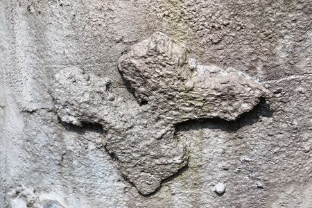 Detailed view on aged concrete walls fronm different modern and hostorical buildings with cracks and...