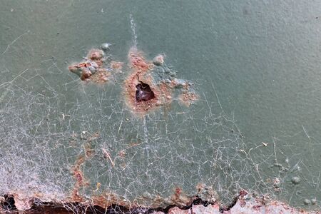 Detailed and colorful close up at cracked and peeling paint on concrete wall textures in high...