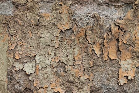 Detailed and colorful close up at cracked and peeling paint on concrete wall textures in high resolution.の写真素材