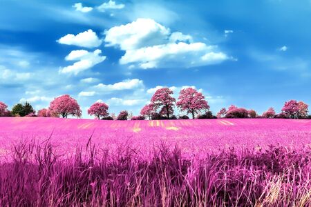 Beautiful pink infrared shots of a countryside landscape with a deep blue skyの写真素材